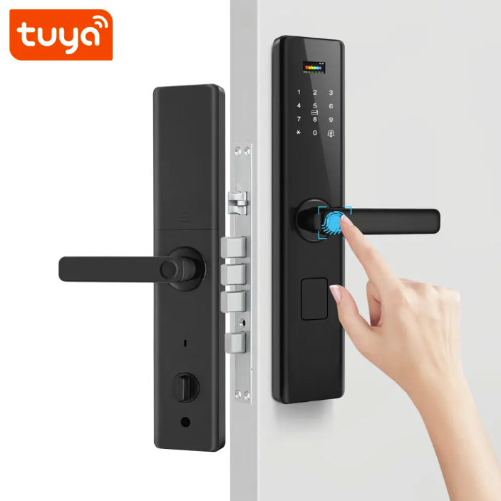 Remote Control Fingerprint/app/password Smart Wi-Fi Door Lock