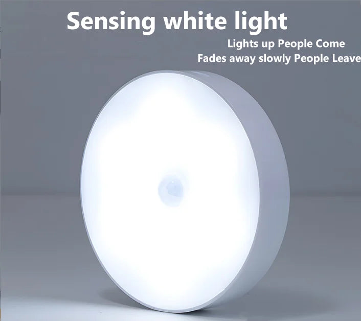 Rechargeable Motion Sensor LED Bowl Night Lamp